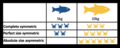 Image 10Table visualising size-symmetric competition, using fish as consumers and crabs as resources. (from Community (ecology))