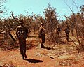 Image 8Members of 44 Parachute Brigade on patrol during the South African Border War. (from History of South Africa)