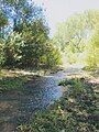Sonoita Creek in the summer of 2014