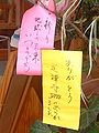 Paper strips (短冊, Tanzaku): Handwritten wishes for a good future to the earth and a thanks note