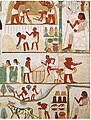 Image 30Agricultural scenes of threshing, a grain store, harvesting with sickles, digging, tree-cutting and ploughing from Ancient Egypt. Tomb of Nakht, 15th century BC. (from History of agriculture)