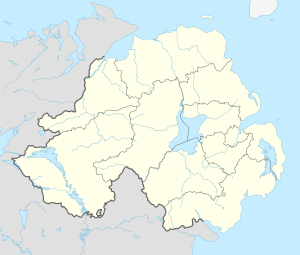 The SSE Arena Belfast (Nordirland)