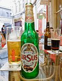 Ursus beer