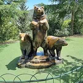 Group of Bears in Jerusalem Biblical Zoo