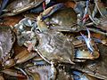 Image 19Blue crabs (from Culture of Baltimore)