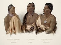 Missouria Indian, Otoe Indian, and Chief of the Ponca, by Karl Bodmer