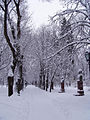 Image 16A view of Chişinău in winter, 2006