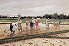 Fabián de la Rosa, Women Working in rice field, 1902