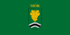 Flag of Mór