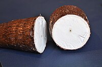 Yuca is eaten fried or boiled with salads, as a side dish or in yuca frita. As with pupusa consumption, the oldest direct evidence of cassava cultivation comes from Joya de Cerén.