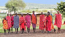 12 Maasai men in shúkà, mostly red, and mostly tartan