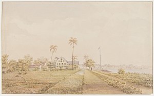 The plantations 'Nijd en Spijt' and 'Alkmaar' (1860)