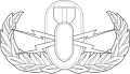 Explosive Ordnance Disposal Badges (Basic, Senior, and Master)