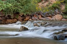 Small rock waterfall in the Virgin River's north fork, passing through Zion National Park