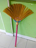 Common soft broom in Indonesia