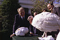 President Gerald Ford accepting a non-pardoned turkey, 1975