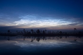 Noctilucent clouds over Soomaa National Park, Estonia