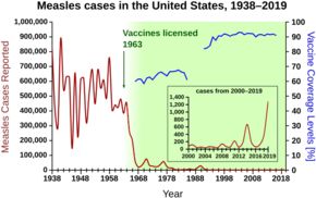 Measles cases 1944-1963 followed a highly variable epidemic pattern, with 150,000-850,000 cases reported per year. A sharp decline followed introduction of the first measles vaccine in 1963, with fewer than 25,000 cases reported in 1968. Outbreaks around 1971 and 1977 gave 75,000 and 57,000 cases, respectively. Cases were stable at a few thousand per year until an outbreak of 28,000 in 1990. Cases declined from a few hundred per year in the early 1990s to a few dozen in the 2000s.