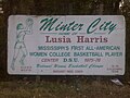 Sign on U.S. Highway 49E celebrating Minter City as the hometown of Lusia Harris