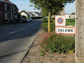The road into Salomé