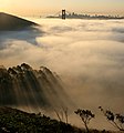 Image 24San Francisco Bay shrouded in fog, as seen from the Marin Headlands looking east. The fog of San Francisco is a kind of sea fog, created when warm, moist air blows from the central Pacific Ocean across the cold water of the California Current, which flows just off the coast. The water is cold enough to lower the temperature of the air to the dew point, causing fog generation. In this photo, the towers of the Golden Gate Bridge can be seen poking through the fog, and the Bay Bridge is visible in the distance.