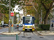 Trams in Szeged