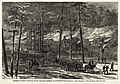 Image 18The print version of Sherman in South Carolina: The burning of McPhersonville at McPhersonville, South Carolina, by William Waud