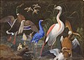 Aquatic Birds at a Pool, folio from the Davis Album. Late 1600s-early 1700s. According to the object listing, possibly by Aliquli Jabbadar. Met Museum