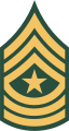 1966–1968, the only authorized insignia for all sergeants major [4]