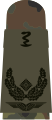 Oberstabsapotheker (Air Force Pharmacy Officer with the equivalent rank of Major)