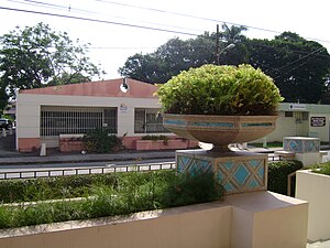 Large planter in Humacao barrio-pueblo
