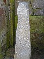 Ogham stone (CIIC 263)