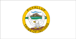 The flag of the Puyallup Tribe of Indians, a white banner with a gold seal, with "Puyallup Tribe of Indians" written around it. Inside the seal is a depiction of a white eagle with wings spread on a branch, with a mountain in the background