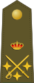 Teniente general[47] (Spanish Army)