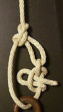 Trucker's hitch using alpine butterfly loop, finished with a slipped double half hitch.