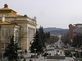 Tudor Vladimirescu Street (2010)