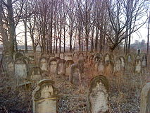 Historic Jewish Cemetery in Ożarów