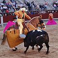 Tercio de varas: El Picador on a caparisoned and blindfolded horse pierces the back of the bull with a spear.