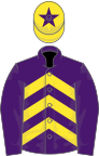 Purple, yellow chevrons, purple sleeves, yellow cap, purple star