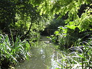 River Peck in Peckham Rye park