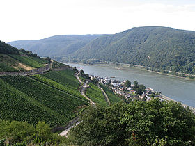 Rheingau valley with the Rhine