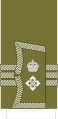 1902 to 1920 lieutenant colonel's sleeve cuff rank insignia