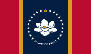 State flag (2021–present)