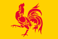 Official flag of Wallonia (1998-)
