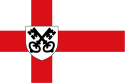 Flagge von Havelte (Provinz Drenthe)