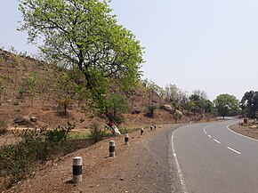 Rampurhat to Dumka road6.jpg