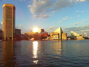 Baltimore's Inner Harbor in August 2010