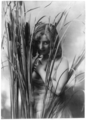 Woman behind cattails (1895)