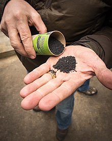 Small pellets of biochar