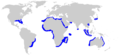 Spinner shark geographic range